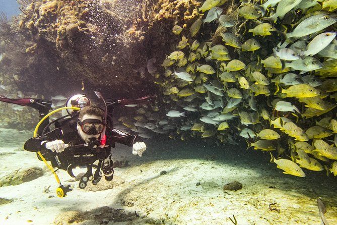 Half-Day Scuba Diving in Playa del Carmen for Small-Group - Price and value: $100 for tanks and weights, and what the extra rentals really mean