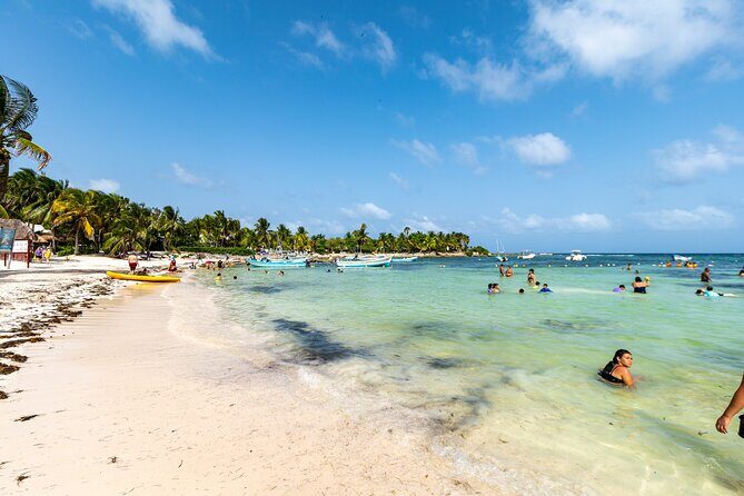 Half Day Tour: Turtles Encounter in Akumal Beach - Small group experience with Tenoch Tours: guide pace and group comfort