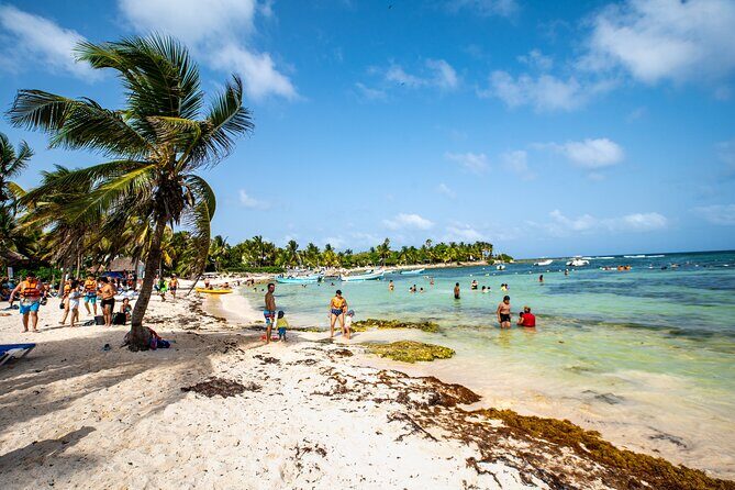 Half Day Tour: Turtles Encounter in Akumal Beach - Should you book the Half Day Turtles Encounter in Akumal?