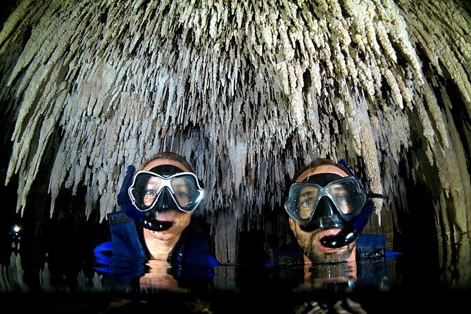 Half-Day Underwater World Tour - Why this half-day underwater tour fits Cancun life