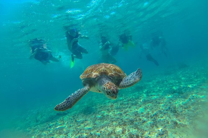 Half-Day Underwater World Tour - Price and value: what $109 really buys