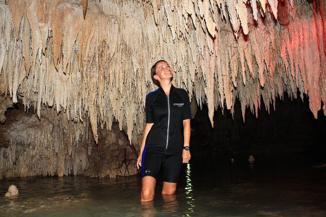 Half-Day Underwater World Tour - What your itinerary really feels like on the ground