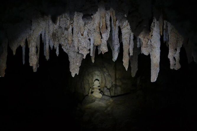 Hidden Cenote exploration in Playa del Carmen - Private tour pacing: why it tends to feel personal