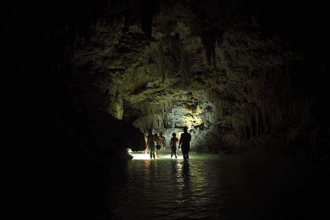 Hidden Cenote exploration in Playa del Carmen - Getting there: meeting point, pickup, and day-of basics