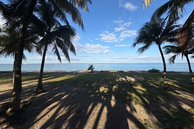 History walking - Foodie Cozumel tour - Benito Juarez Park snack detour: fried local bites on the way
