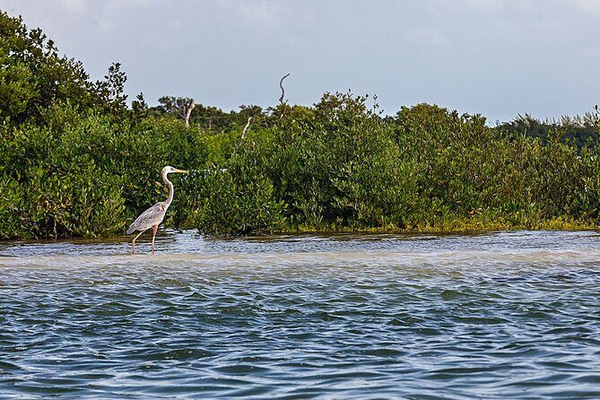 Holbox 3 Island Group Tour - Where to meet (and why the exact location helps)