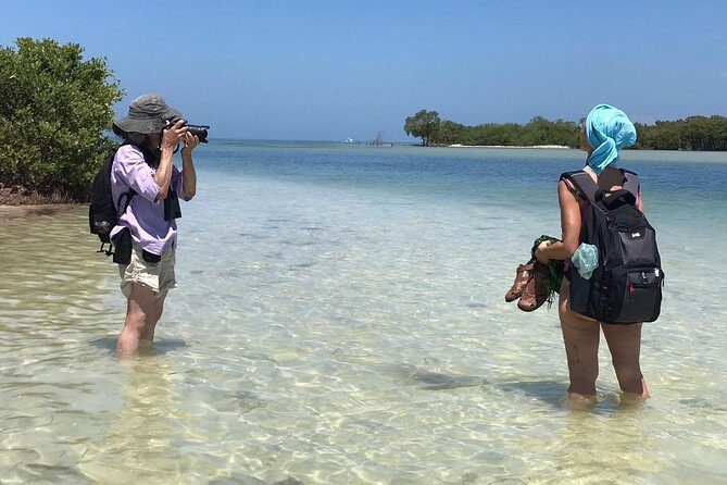 Holbox 3 Island Group Tour - Stop 1: Punta Mosquito sandbank and the birdwatching that starts early