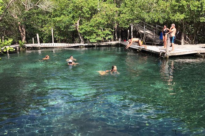 Holbox 3 Island Group Tour - Stop 2: Isla de los Pajaros and the 35+ species factor