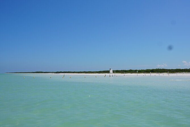 Holbox 3 Island Group Tour - The quality boost from the guides (names you’ll hear for a reason)
