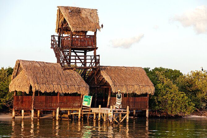 Holbox 3 Island Private Boat Tour - Stop 1 at Punta Mosquito or Isla Pájaros: Bird Life on the Move