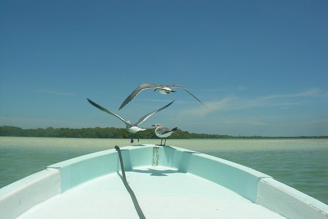 Holbox 3 Island Private Boat Tour - Yalahau Lagoon Cenote Swim: Fresh Water, Cool Break, Pirate Legend Energy