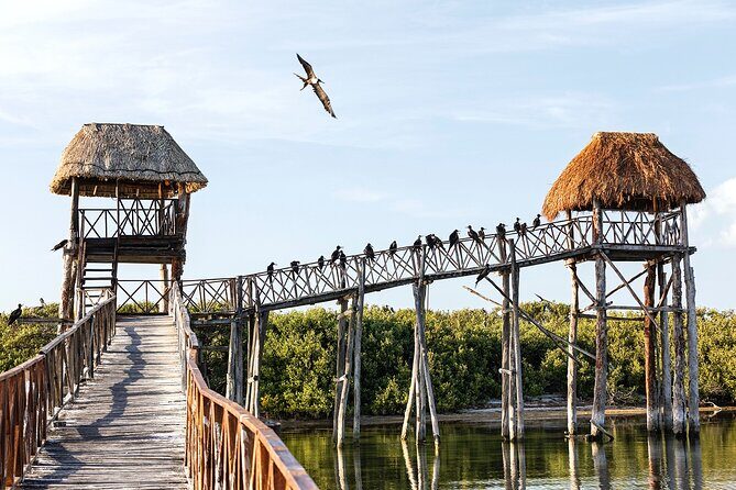 Holbox 3 Island Private Boat Tour - Practical Tips to Make It Easier (and More Fun)