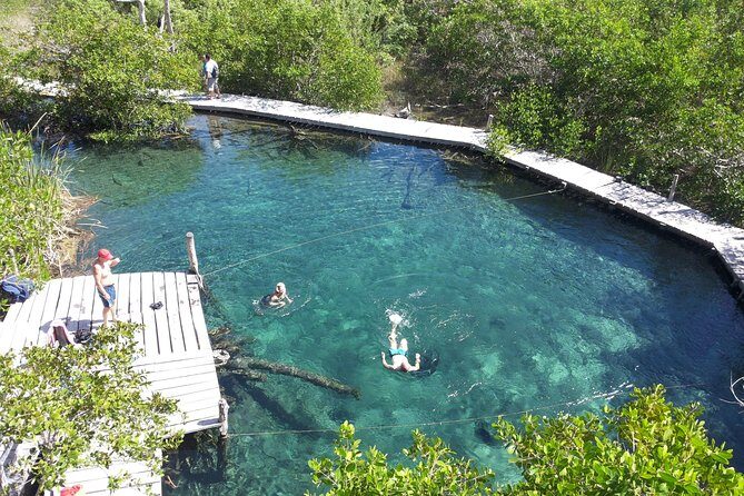 Holbox 3 Island Private Boat Tour - Price and What $346.50 Covers (For Real Value)