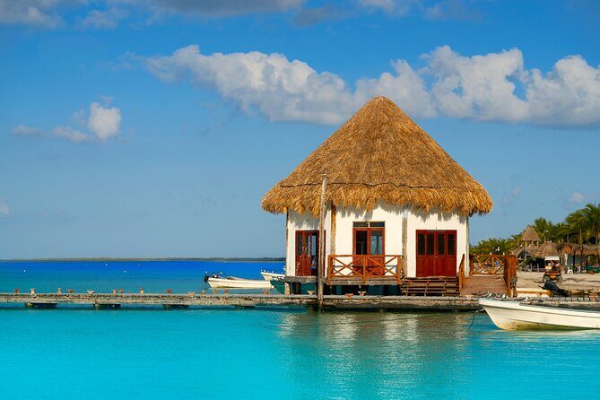 Holbox and Passion Island Full-Day Tour with Cenote, Transportation and Lunch - Stop 1: Hoyo Negro Yalahau cenote swim with life jacket time