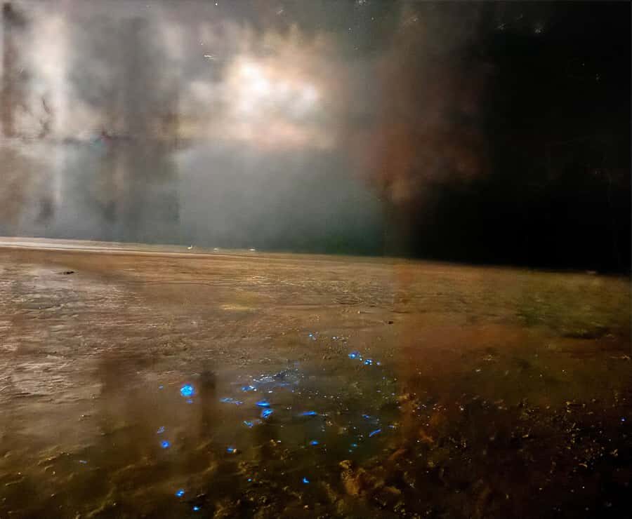 Holbox: Bioluminescence by Kayak and Stargazing. - What to bring (and what not to forget)