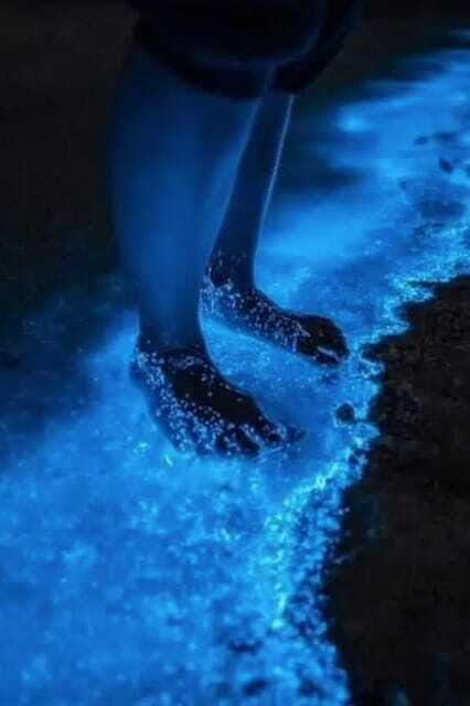 Holbox: Guided Bioluminescence Kayaking Tour - Sandbank Time: When the Ocean Starts Glowing on Purpose