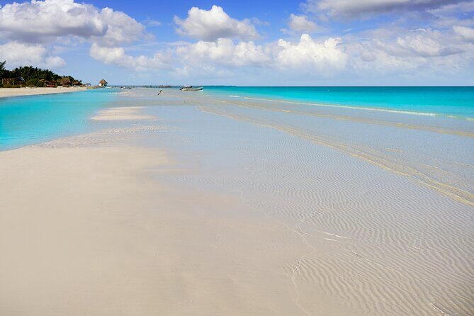 Holbox island: Boat tour & golf cart ride, Lunch and open bar - Price and logistics: what you really pay for
