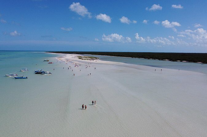 Holbox island: Boat tour & golf cart ride, Lunch and open bar - Weather and timing: the one lever you can’t control