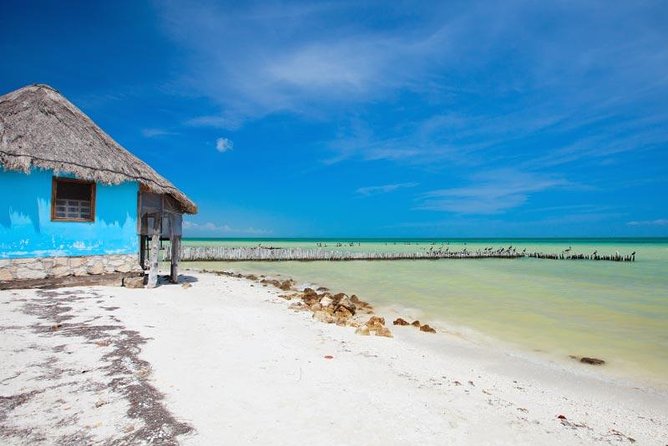 Holbox Island Tour departure from Cancun - Punta Mosquito: a nature stop that’s short but scenic