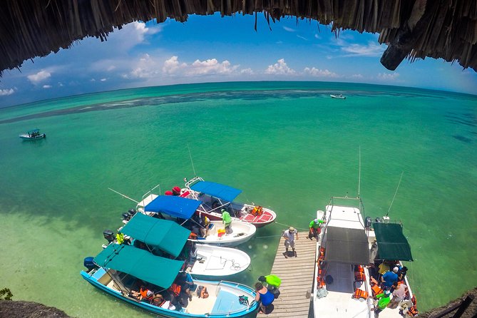 Holbox Island Tour departure from Cancun - Price and value: $60 sounds good, then plan for the $30 maritime balance