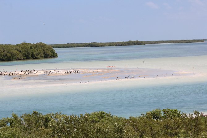 Holbox Island Tour from Cancun - Stop 1: Punta Mosquito for Coastal Views and Nature Time