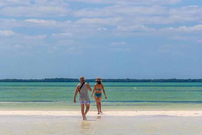 Holbox Island Tour from Cancun - Stop 2: Isla de la Pasión for Birds and Scenic Stillness