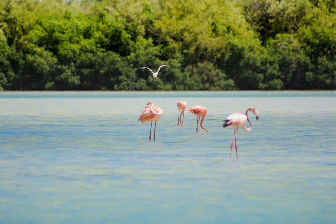 Holbox Island Tour in Mexico with Lunch - The boat ride reality check: when the water gets rough