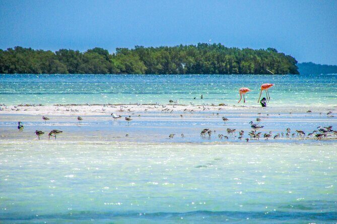 Holbox Island Tour in Mexico with Lunch - The Morning Stops: Punta Mosquito in about 40 minutes