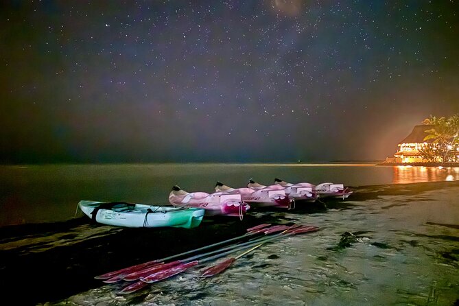 Holbox Kayak Bioluminescence Experience - Key things to know before you go