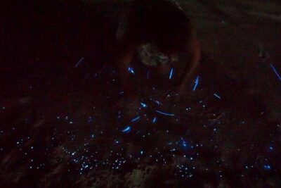 Holbox Kayak Bioluminescence Experience - Stop 1 at Punta Mosquito: glowing footprints and handprints