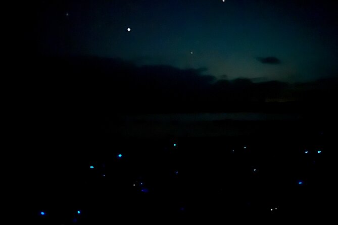Holbox Kayak Bioluminescence Experience - Stargazing after the glow: Milky Way and more