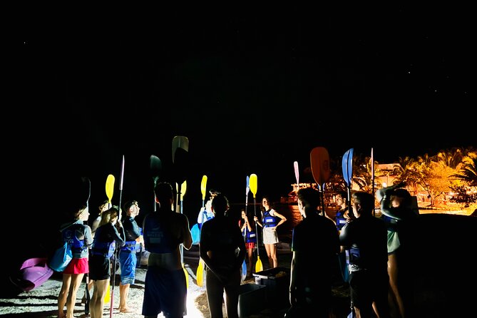 Holbox Kayak Bioluminescence Experience - Pickup and group size: how logistics shape the mood