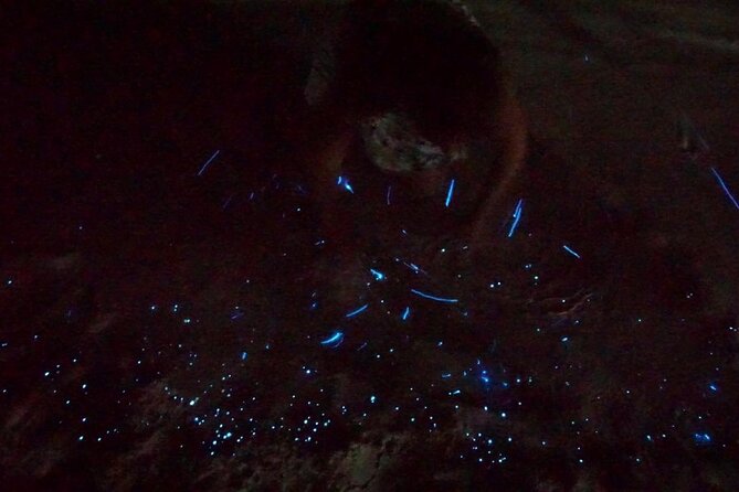 Holbox Kayak Bioluminescence Experience - Stop 1 at Punta Mosquito: glowing footprints and handprints