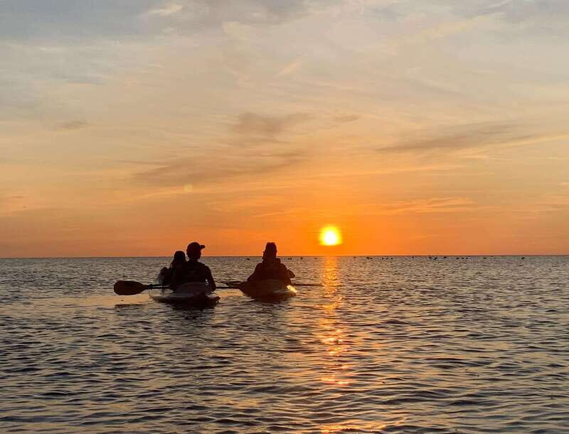 Holbox: Mangrove Sunset Kayak Tour - Key things that make this tour worth your attention