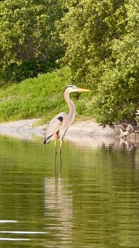 Holbox: Mangrove Sunset Kayak Tour - What you need to bring (and what the tour provides)