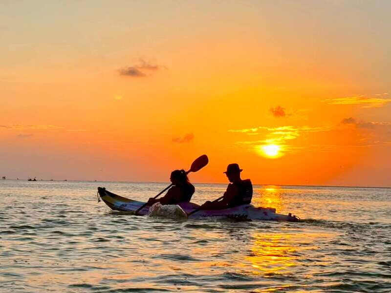 Holbox: Mangrove Sunset Kayak Tour - Flamingo Kayaks on Holbox: why the ride feels different