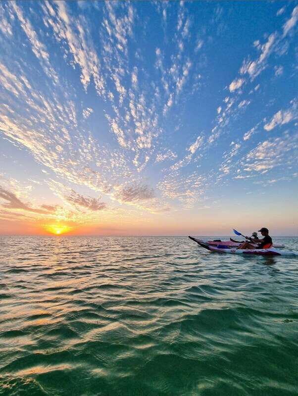 Holbox: Mangrove Sunset Kayak Tour - The paddle into Kuká River: birds show up when you go slow