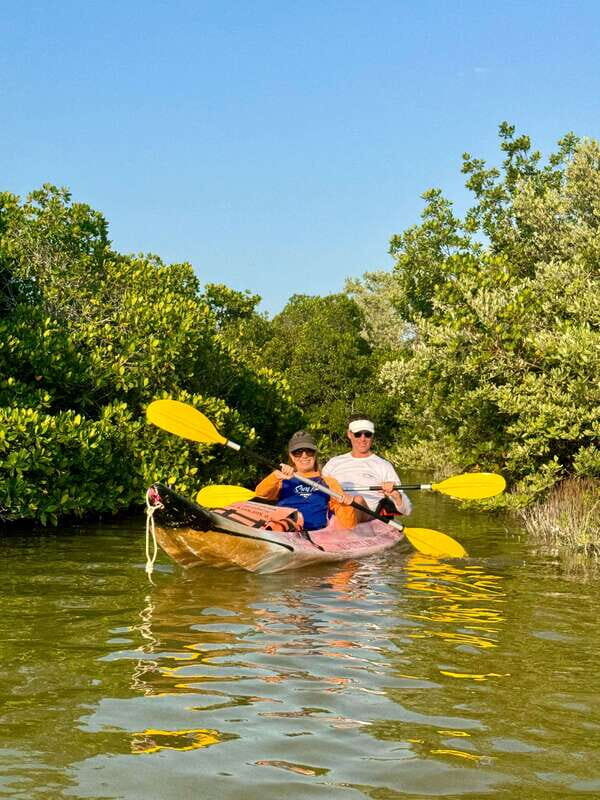 Holbox: Mangrove Sunset Kayak Tour - Inside the mangroves: why three mangrove types matter