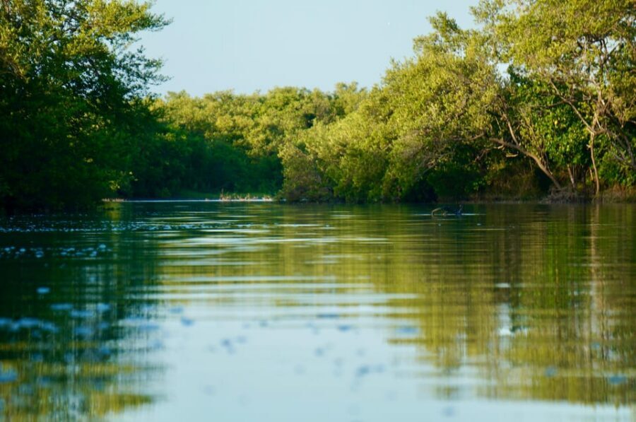 Holbox: Mangrove Sunset Kayak Tour - Sunset timing and the snack break: a pause that makes sense