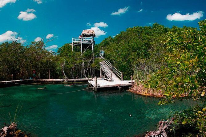 Holbox plus Island Magic by boat Tour from Cancun - Holbox Island free time: stroll the town, then choose your pace
