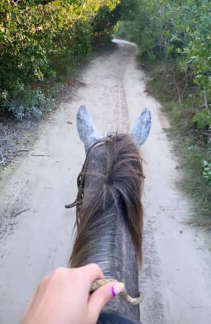 Holbox: Private Horseback Riding - Key things I’d plan around