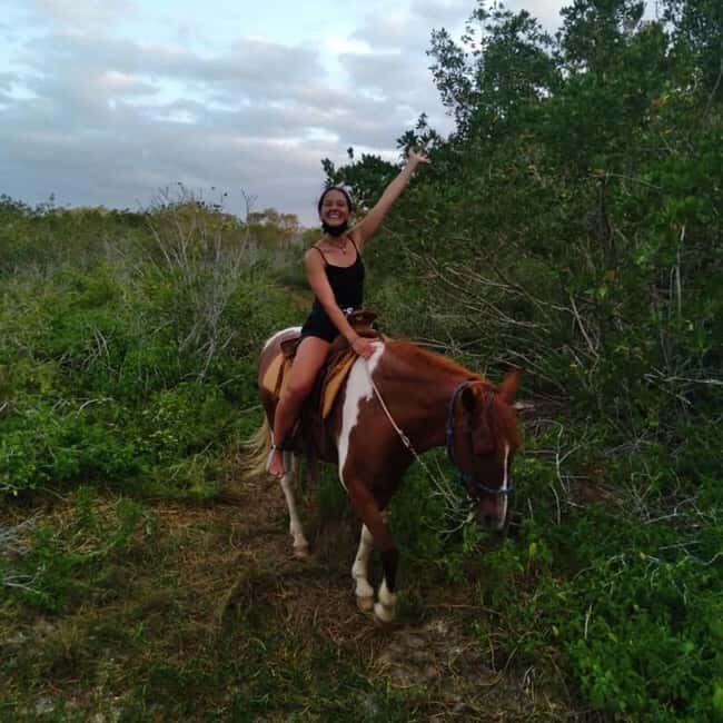 Holbox: Private Horseback Riding - Why this private Holbox ride feels worth your attention