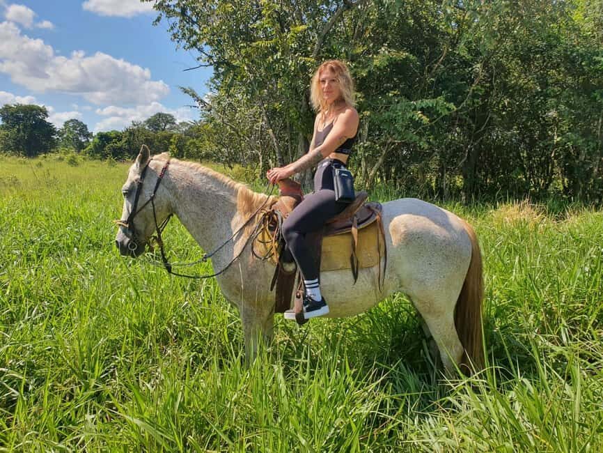 Holbox: Private Horseback Riding - The mangrove route and the one place you can gallop