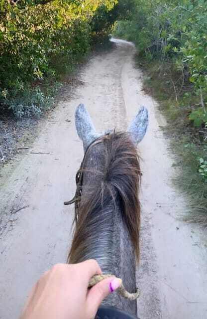 Holbox: Private Horseback Riding - Beach stops: quick photos, not long lounging