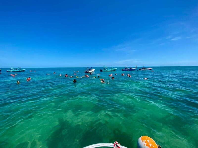 Holbox: Snorkeling, Fishing, and Ceviche Tour - Getting to the Whale Shark pier without stress