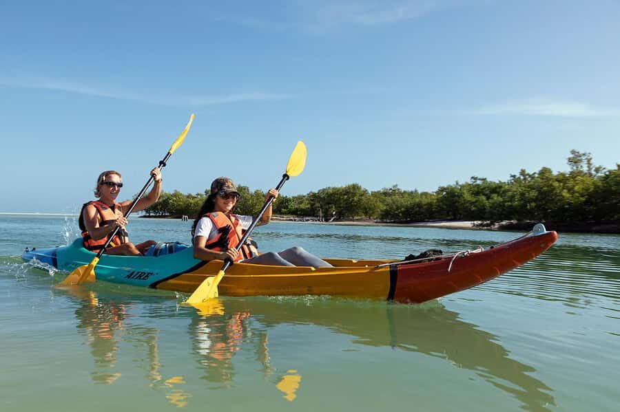 Holbox: Sunrise Kayak Tour through the Mangroves - Why Sunrise Kayaking in Holbox Feels Different in the Mangroves