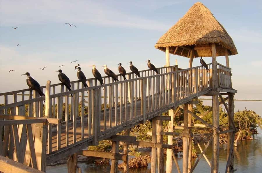 Holbox: Three Islands Tour - How the route gives you a packed 3.5 hours