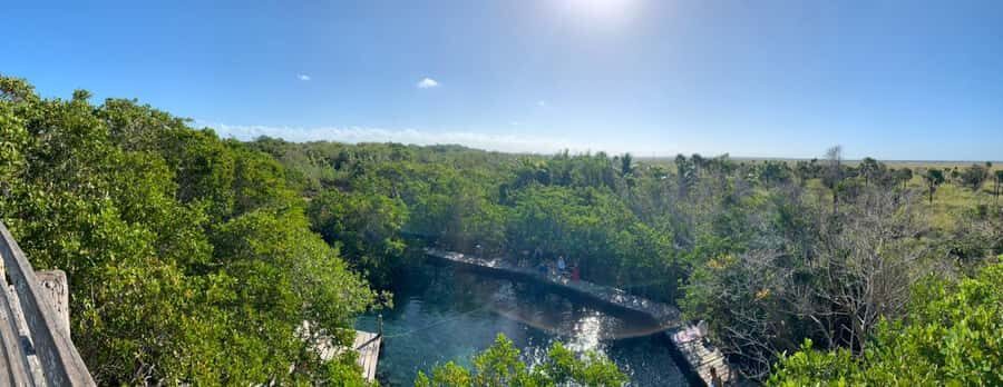 Holbox: Three Islands Tour - Isla Pájaros (Morena Island): how to see over 140 birds without walking