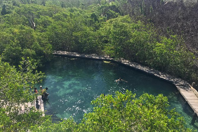 Holbox tour from Cancun and Riviera Maya - Isla Pasion for birds: nature time that doesn’t feel like a detour