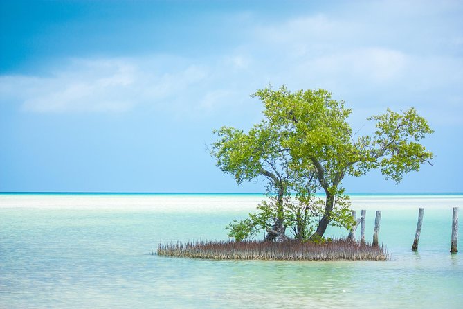 Holbox tour from Cancun and Riviera Maya - Getting back to your hotel: timing can slip at the pier
